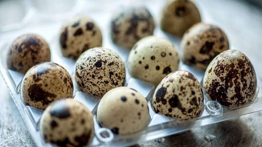 Factors affecting the price of egg packaging containers