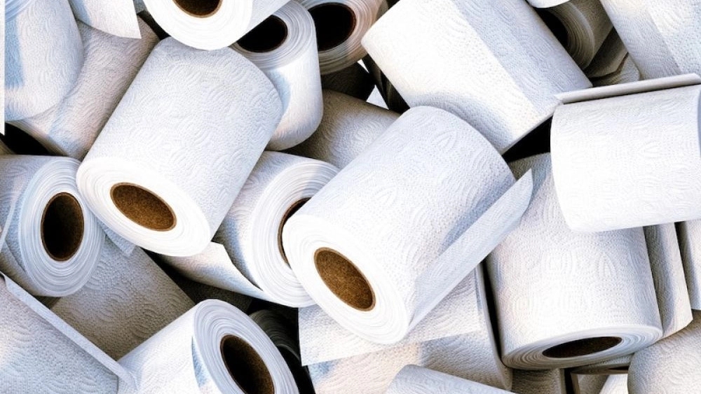 All about paper towels