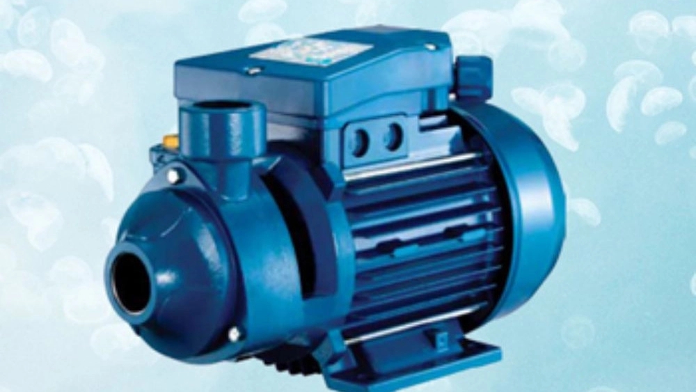Energy service store, sale of electromotor pumps and diaphragm pumps in Tehran