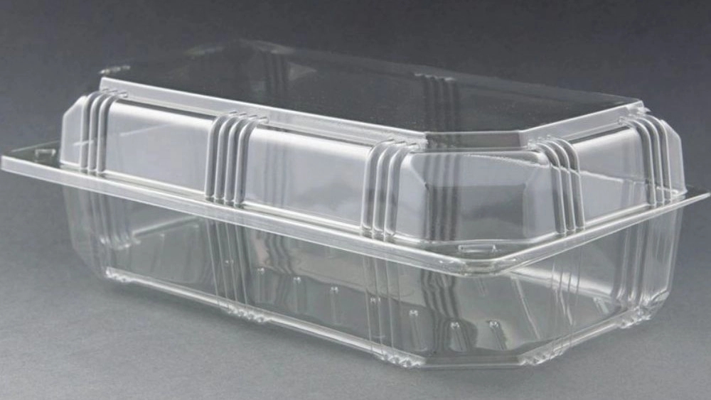 What is a disposable container?