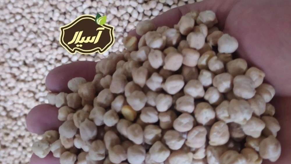 The price of falafel chickpeas in Kermanshah + wholesale and retail sales