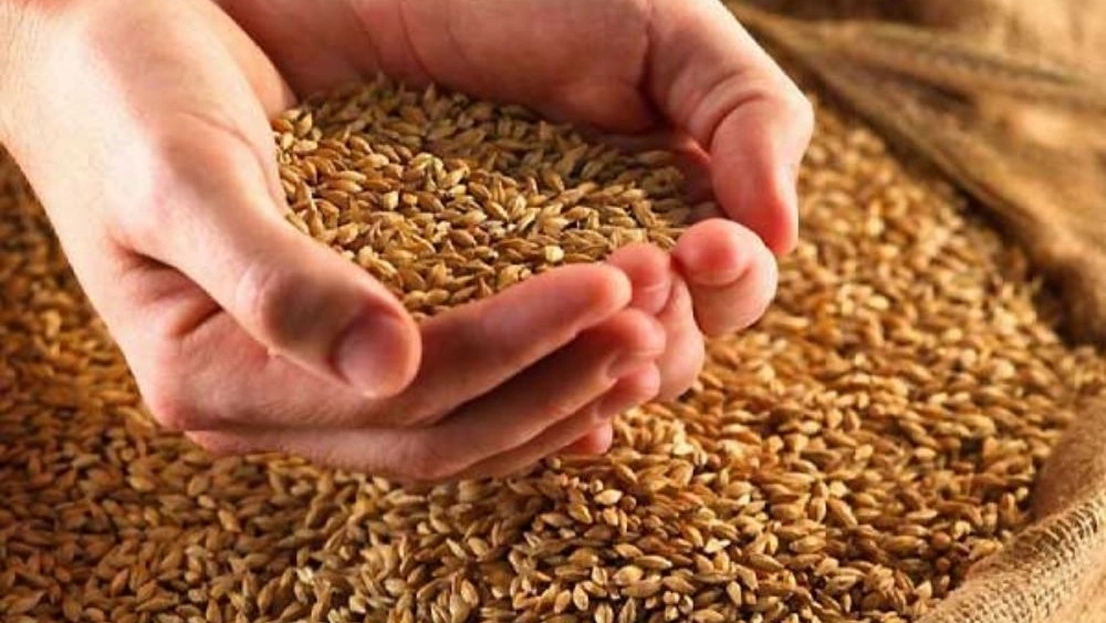 Wholesale quality quail feed