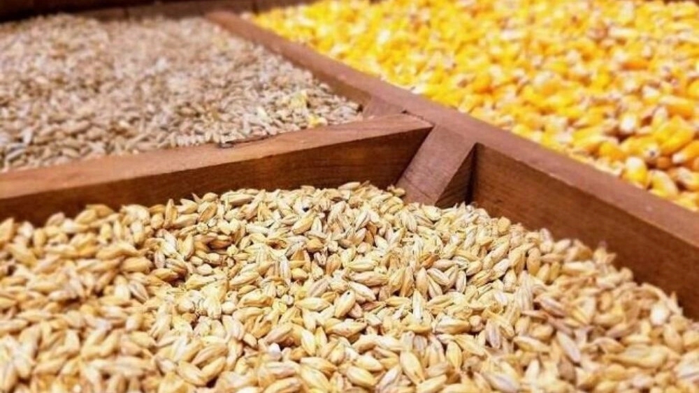 What are animal inputs?