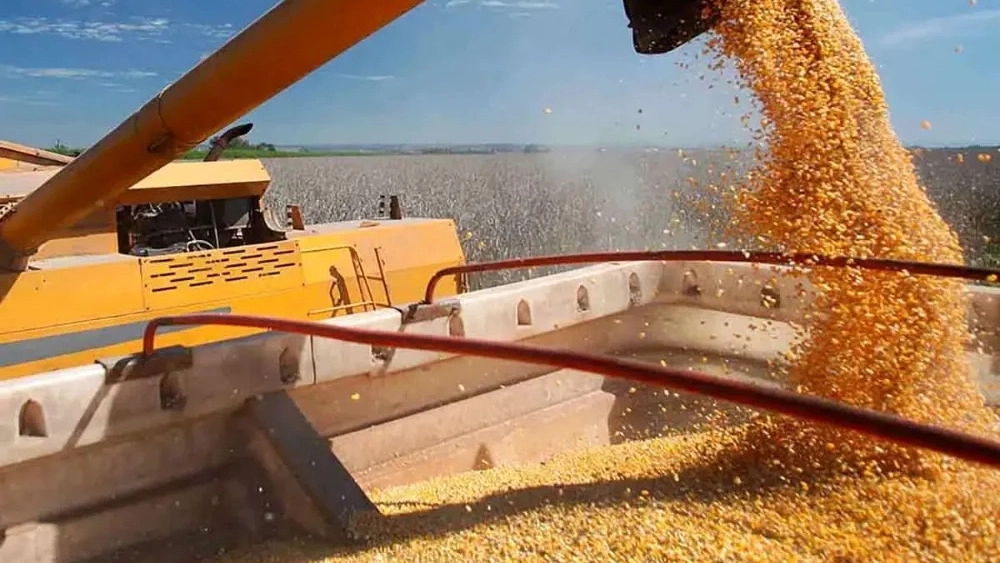 Different types of livestock inputs