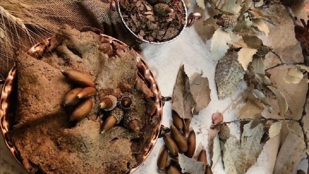 کاربرد بلوط
