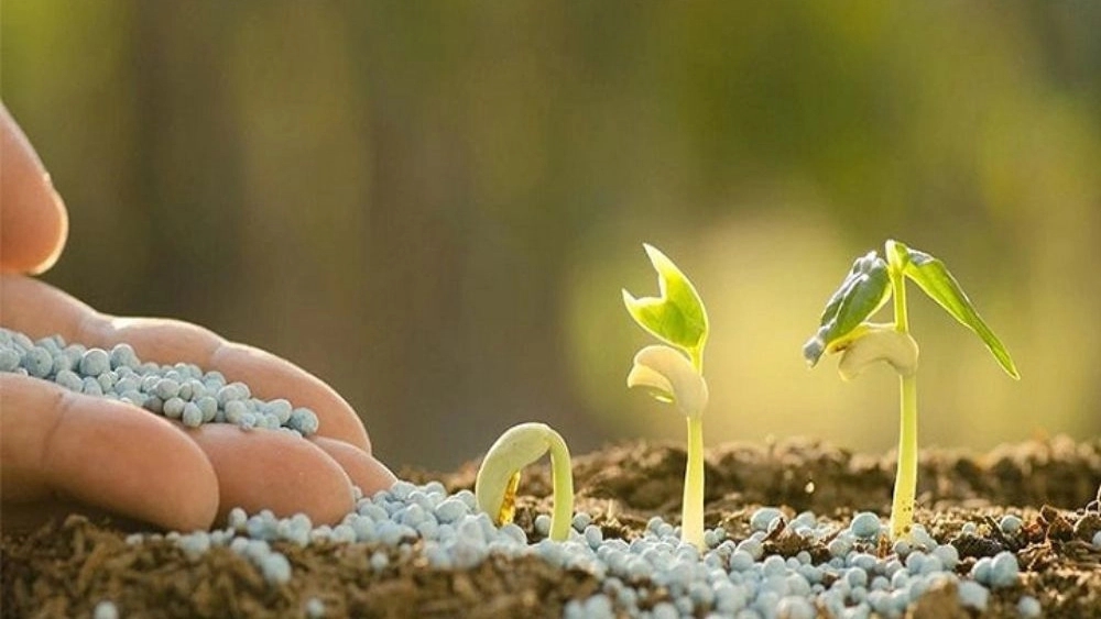 Joharchi Trading, buying and selling oil derivatives of urea fertilizer in Qom