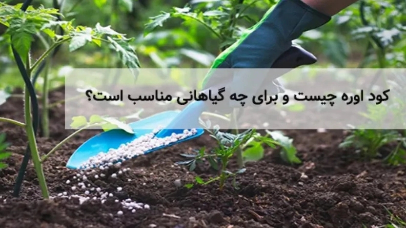 What kind of plants is urea fertilizer suitable for?
