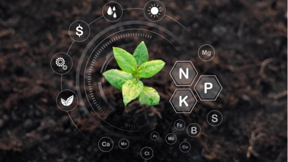Types of biological fertilizers