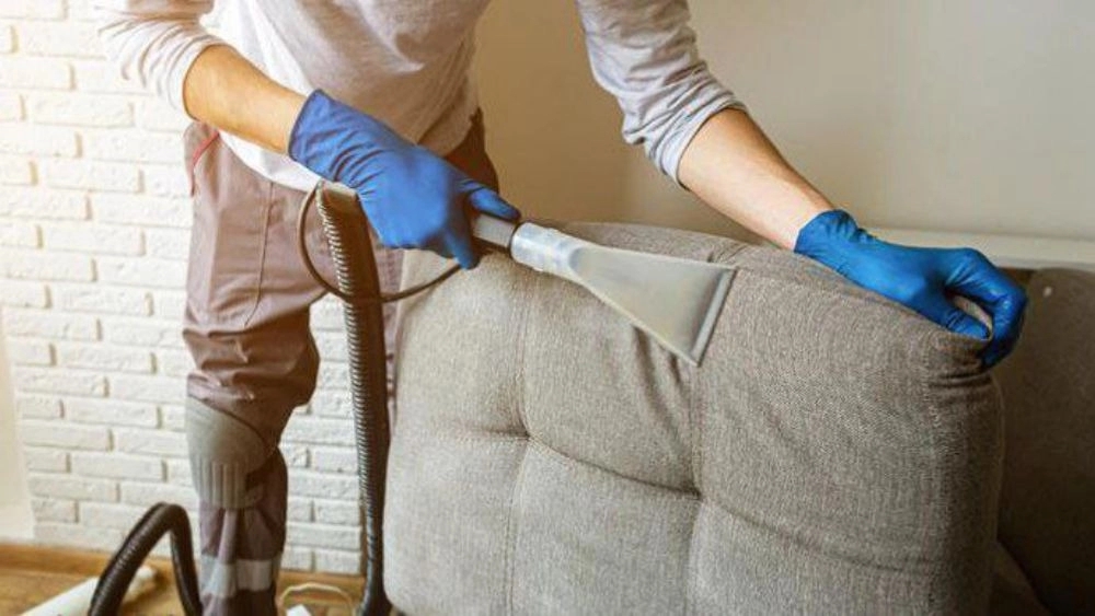 Porbaqer sofa cleaning in Sangar