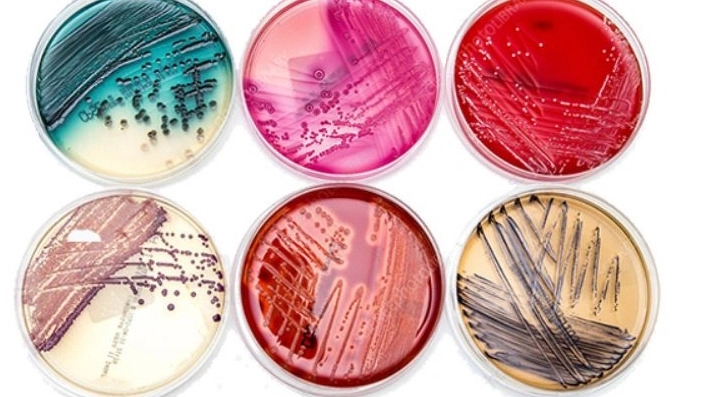 Types of cultivation environment in Aria Gene Company