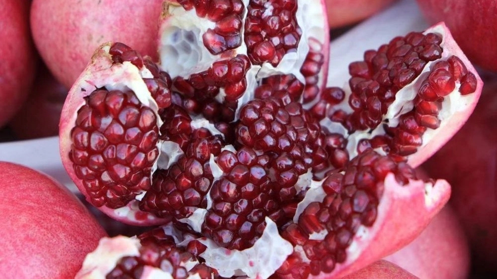 The date of the third #Huraman #Pomegranate #Festival in the villages of #Belbar #Zhivar and #Selin soon on the channel