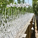 Premium protection, production, sales and installation of deer antler protection in Tehran