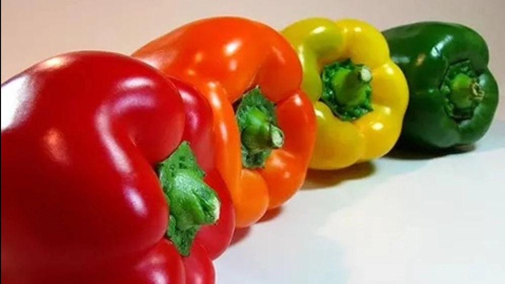 The price of sweet pepper for export