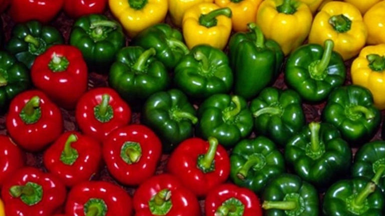 Export of sweet pepper