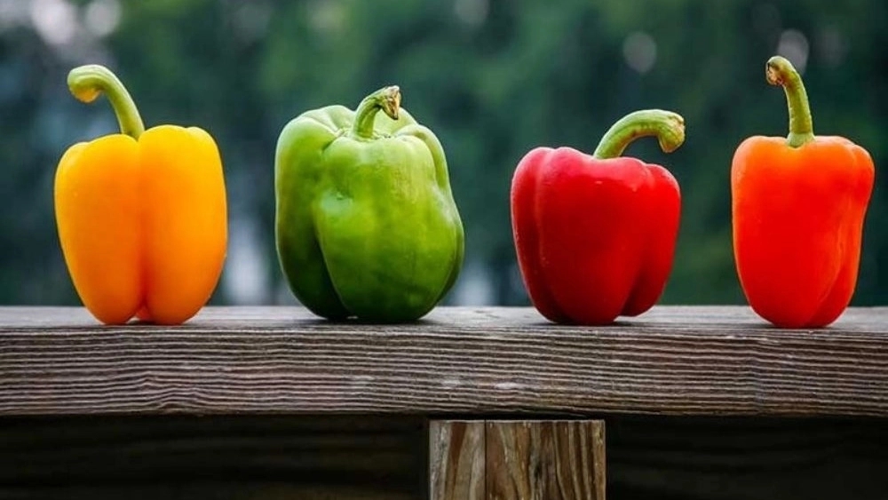 sweet pepper