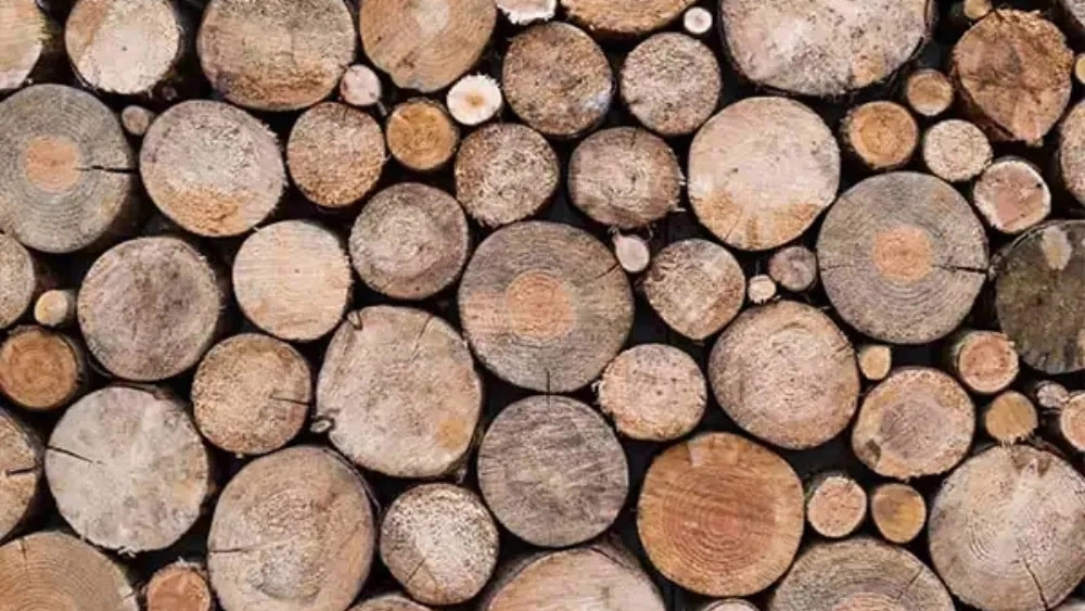Russian wood and its applications in radiant facades