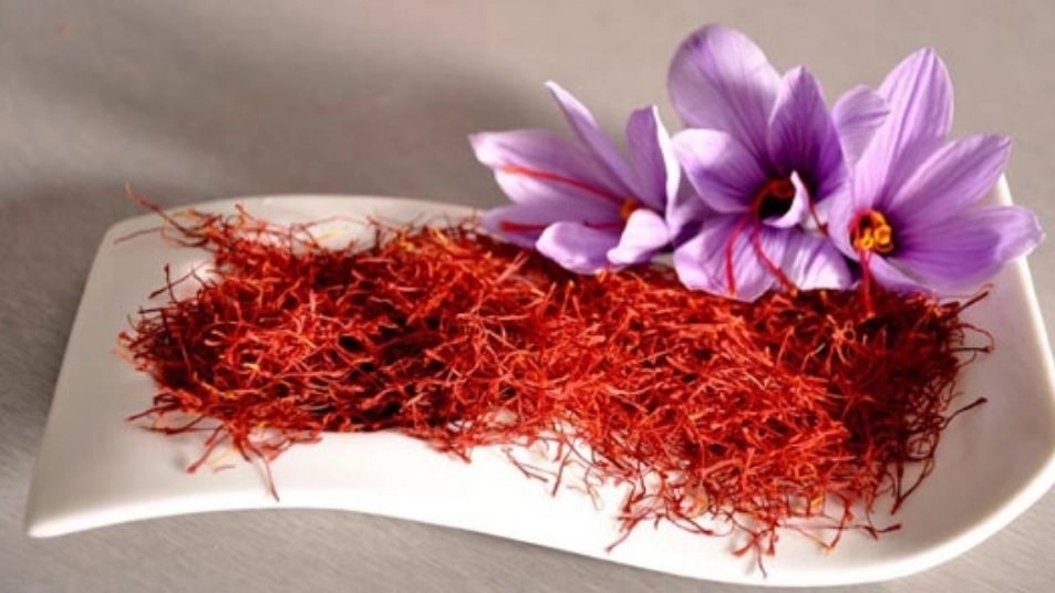 Fatima dry fruit, sale and distribution of barberry, saffron Qaisi and all kinds of plums in Rasht
