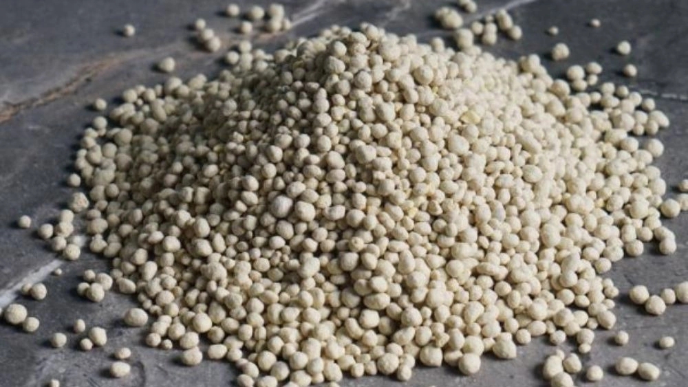 Production of diammonium phosphate in Mashhad