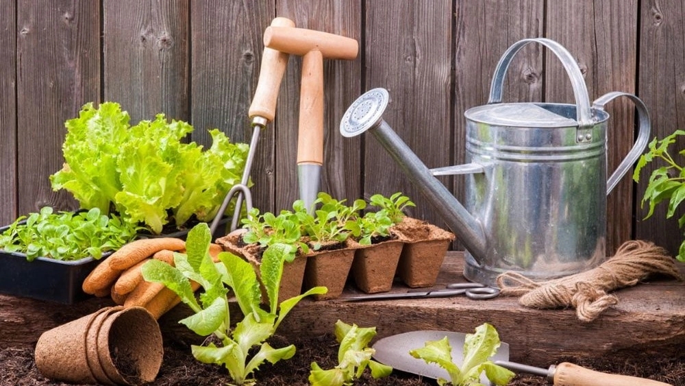 Gardening tools