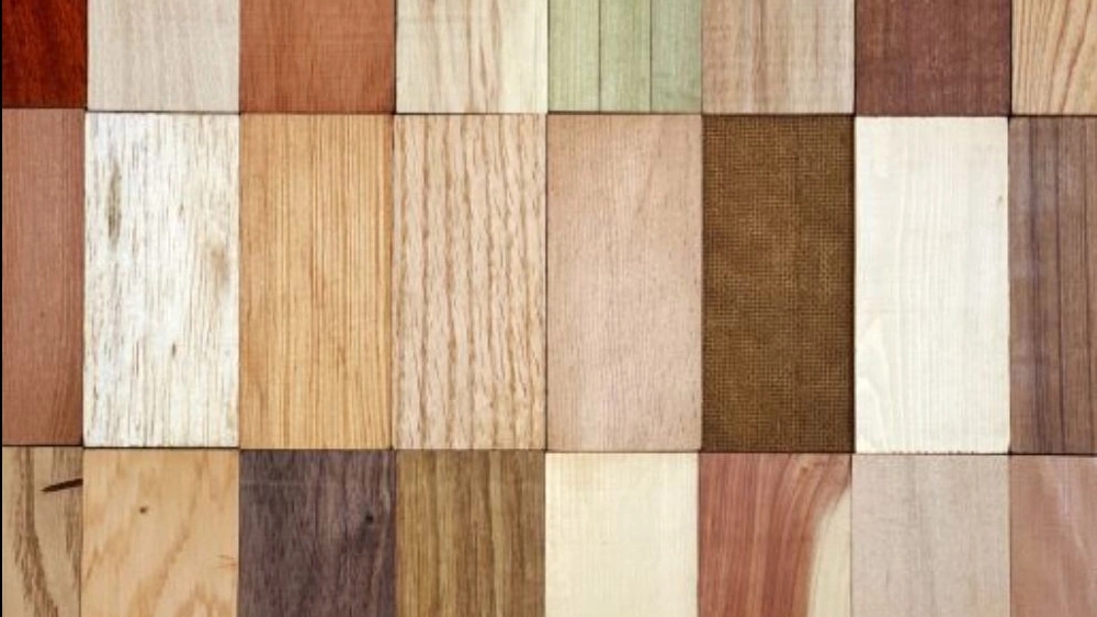 10 types of wood for making furniture in Rasht
