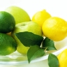 Mahmoudi Greenhouse, export of apple, tomato and lemon fruits in Chaharmahal Bakhtiari