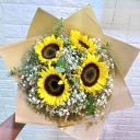 Marian Flower, sale and distribution of all kinds of ornamental and apartment flowers in Rasht