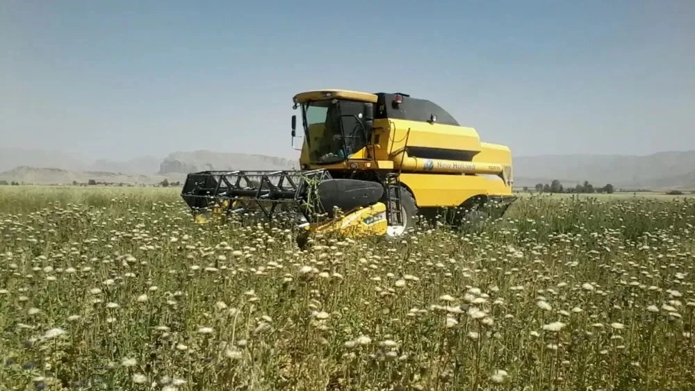 Medicinal plant harvester