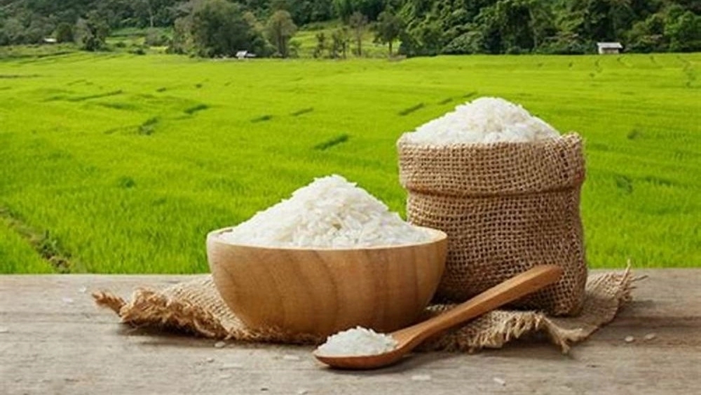 rice