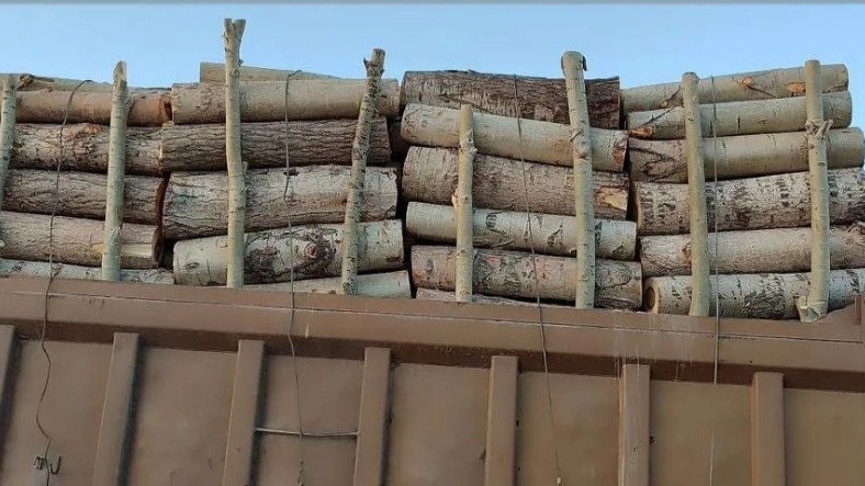 Sadeghler wood complex, production and sale of fir wood and charcoal in Ardabil