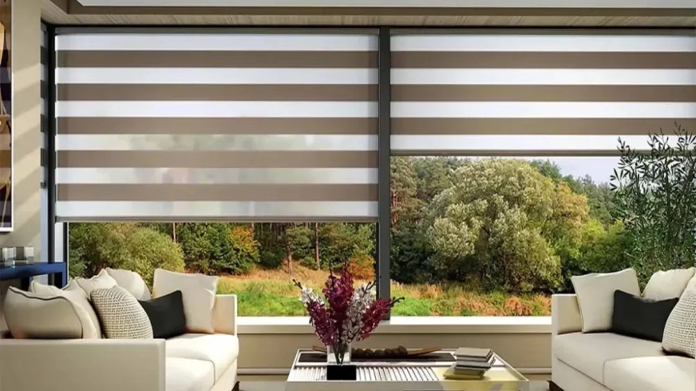 Important features of zebra blinds