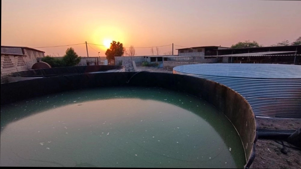 Cheap construction of fish breeding pond