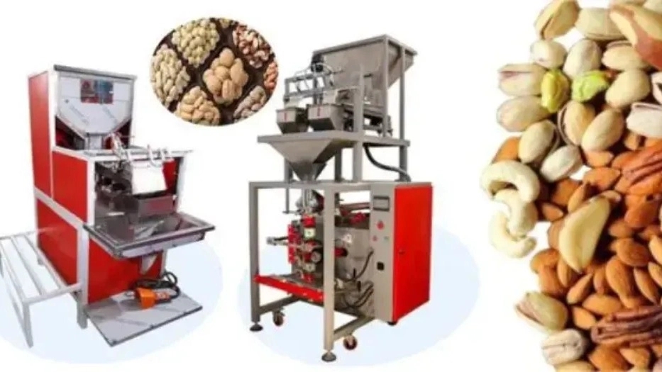 Kandchi Machinery, a nut and dry fruit machine manufacturer in Tabriz