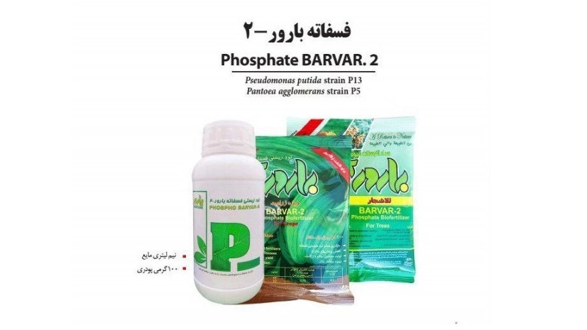 Sale and export of fertile phosphate biological fertilizer