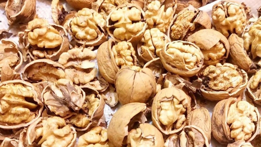 Gerdoland, the supply of walnuts and honey dried fruit in Arak