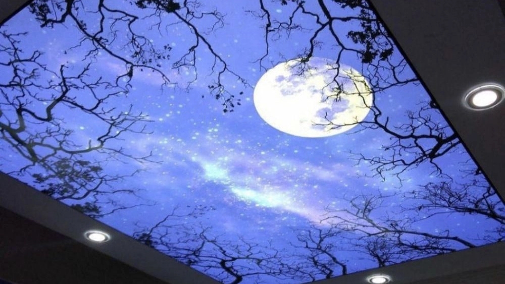 Palar Decor, types of elastic ceilings