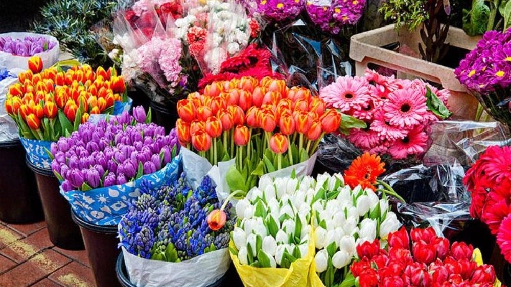 Motahera flower shop, selling all kinds of natural flowers in Rasht