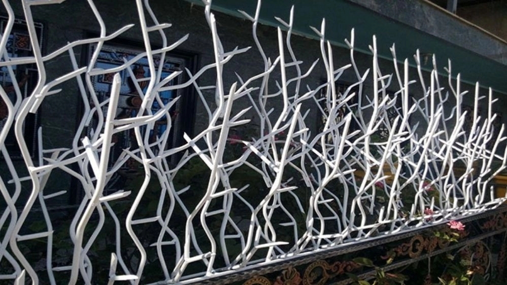 Production and sale of deer antler protection in Qom