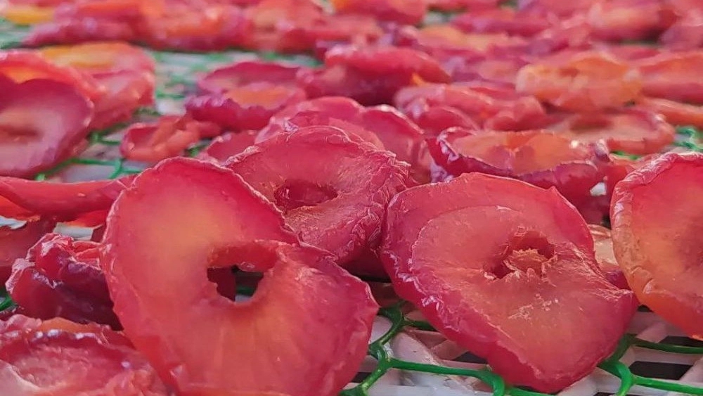 Agha Mohammadzadeh dry fruit of Tabriz
