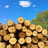 Ain Elahi wood shop, sale of white fir wood in Sera Monastery, Gilan