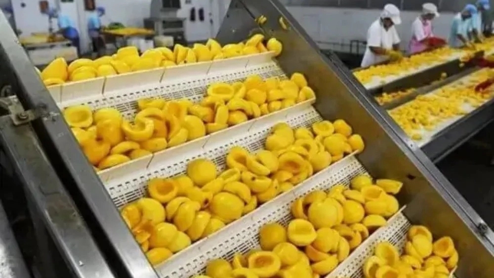 Canning production line machine process
