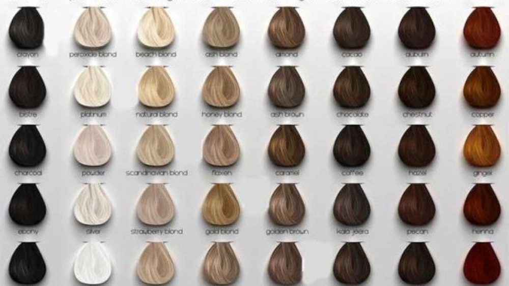 Types of hair colors in Zahedan