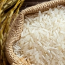 Sorting Alavi rice, selling Tarem Hashemi Iranian rice in Mahmoudabad, Mazandaran