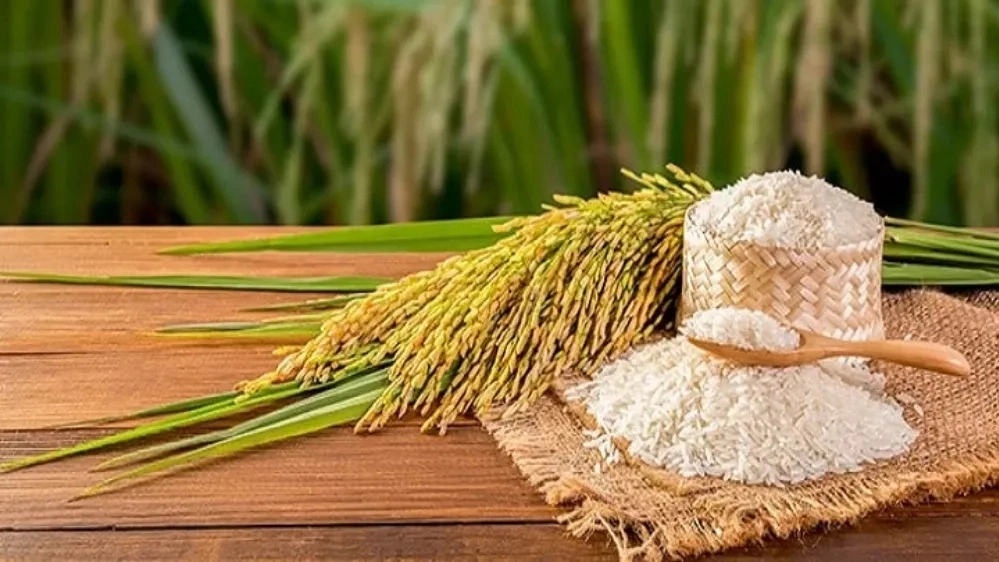 Sale of types of Iranian rice in Mahmoudabad