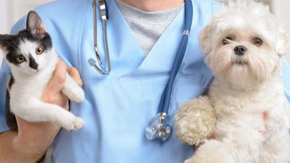 Isfahan veterinary laboratory