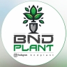 BNDPlant, sale of potted houseplants in Bandar Abbas