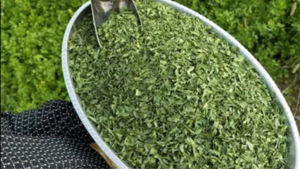 Selling dried vegetables in Darab Fars