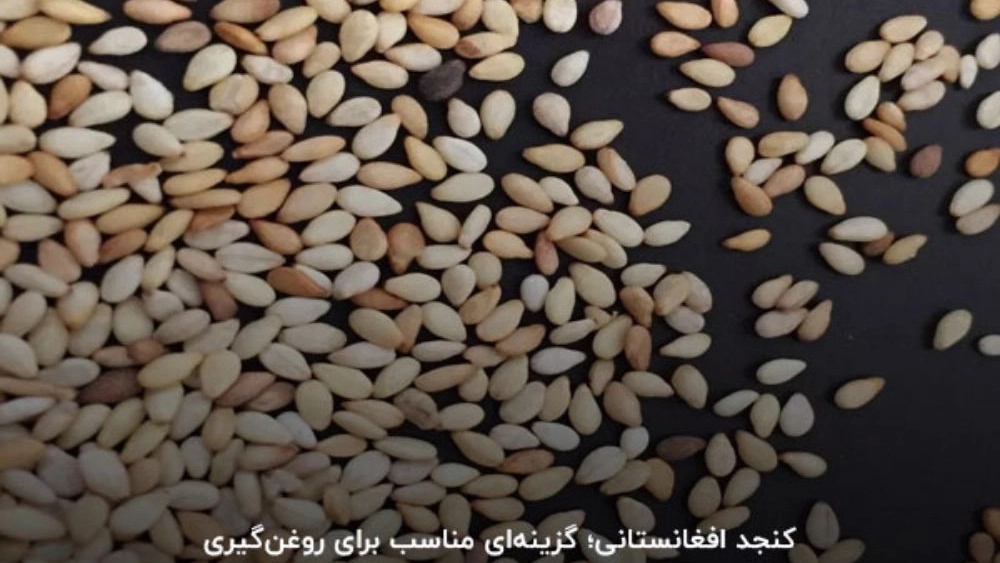 معرفی انواع کنجد در بازرگانی ساعتچی