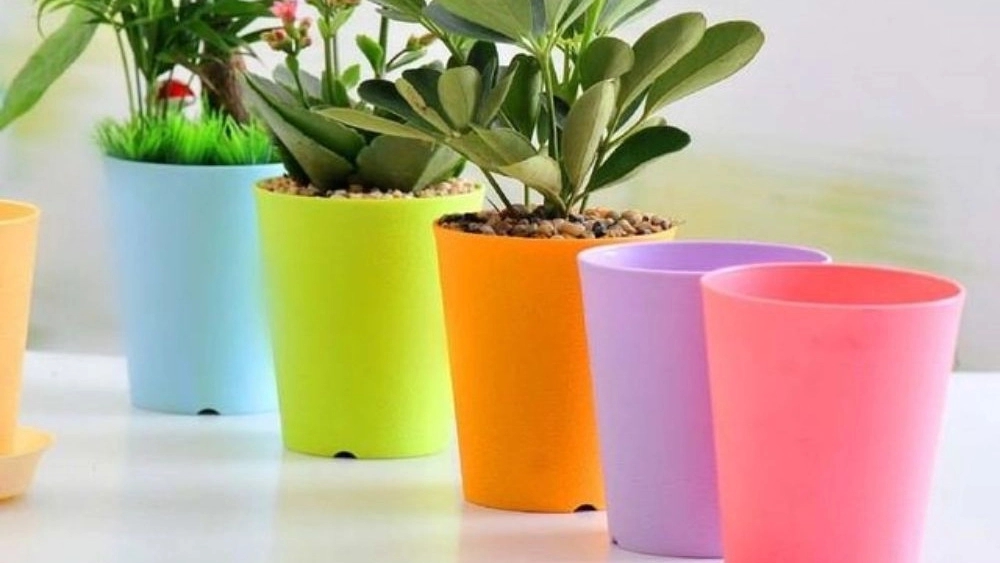 Guldan Rezaei production, production and sale of greenhouse and plastic pots in Tehran