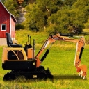 Hossein Delfan road construction machinery, rental of mini excavators and bobcats in Pasdaran, Tehran