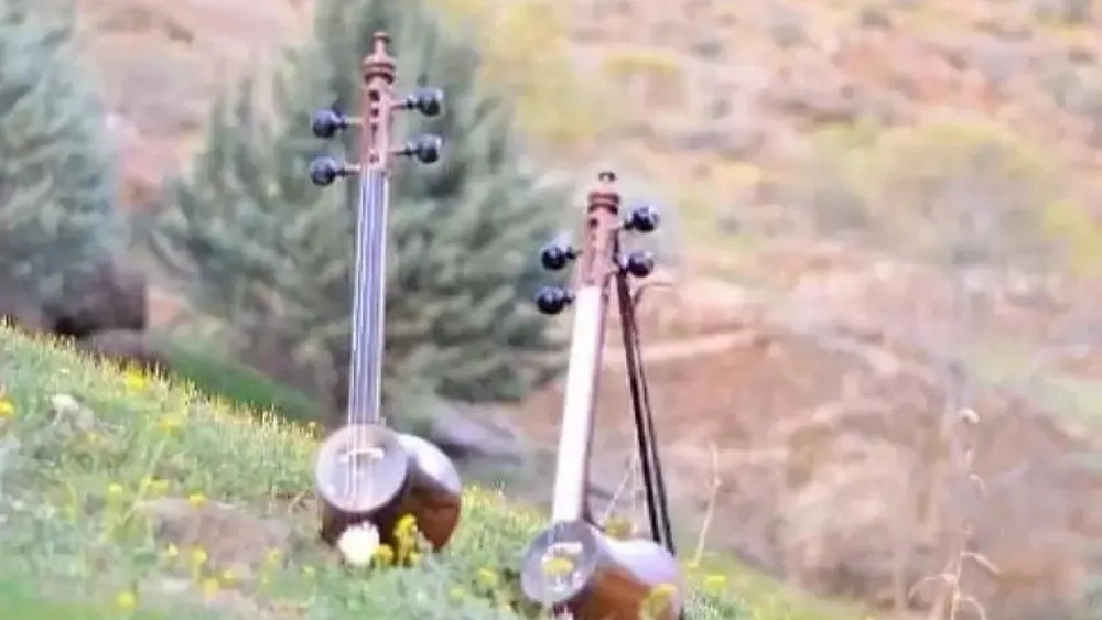 Types of fiddles